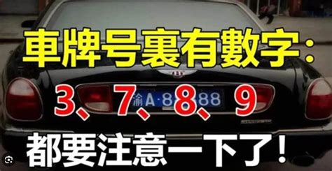 屬狗車牌|屬狗的車牌號碼吉祥數字，取」汪「諧音